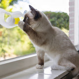 Beeztees Play Rail Windo Window Cat Toy White 52cm