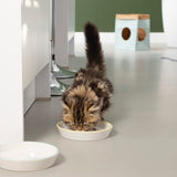 Beeztees ZINA Ceramic Bowl