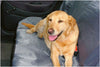 Beeztees Car Blanket Universal
