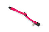 Beeztees Nylon KITTEN Collar