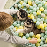 Beeztees FUNCHIE Puppy Ball Pool