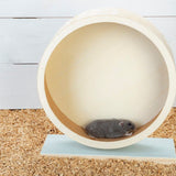 Beeztees TURBANI Wooden Running Wheel - Mint