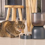 Beeztees Smart Feeder Chris Cat Anthracite 3L