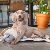 Beeztees Puppy Heartbeat Cuddle Toy 35x20x14cm