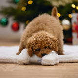 Beeztees Puppy Playing Bone Renda - White