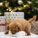 Beeztees Puppy Playing Bone Renda - White