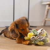 Beeztees Puppy Snuffle Ball Izzy 13cm