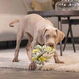 Beeztees Puppy Snuffle Ball Izzy 13cm