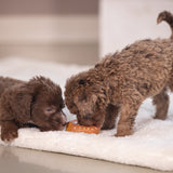 Beeztees Puppy Donuts Toy