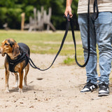 Beeztees Parinca Premium Leash Black 300x20cm