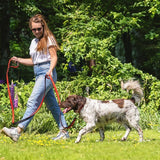 Beeztees Parinca Premium Leash Red 300x20cm