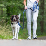 Beeztees Parinca Premium Leash Blue 300x20cm