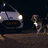 Beeztees PARINCA Safety Collar - Yellow