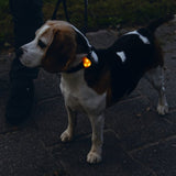 Beeztees Silicon Safety Light