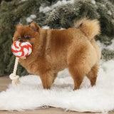 Beeztees Christmas Lollipop Dog Toy