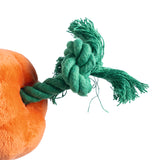 Beeztees Halloween Pumpkings w Rope