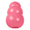Kong Puppy