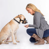 HALTI Baskerville Ultra Muzzle