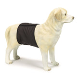 Beeztess Dog Diaper - Black