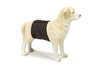 Beeztess Dog Diaper - Black