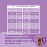 Barking Heads Big Foot Puppy Days Turkey - 6kg