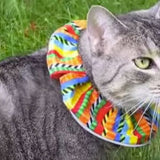 Birdsbesafe hálskragi