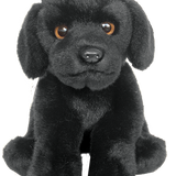 Labrador - Black