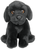 Labrador - Black