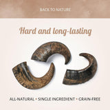Antos Buffalo Horns
