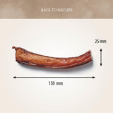 Antos Bull Pizzle 15cm - 3pcs