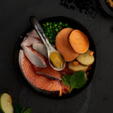 Canagan Scottish Salmon For Dogs