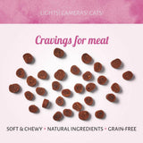 Antos Cat Treats Diced Beef 50 gr