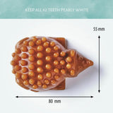 Antos Cerea Hedgehog - Small