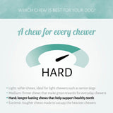 Antos Cerea Hedgehog - Small