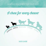 Antos Cerea Hedgehog - Small