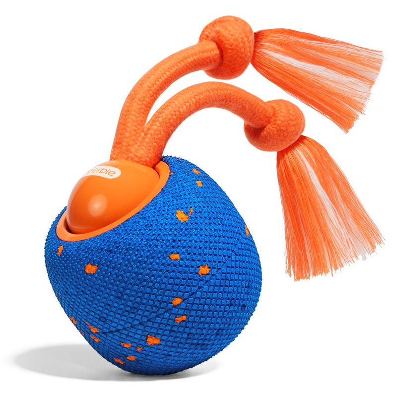 Wicked Ball Rolly
