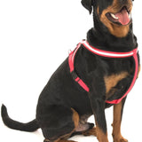 HALTI Comfy Harness