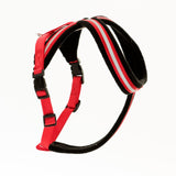 HALTI Comfy Harness