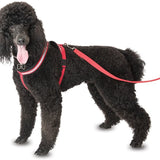 HALTI Comfy Harness