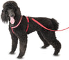 HALTI Comfy Harness