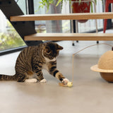 Designed by Lotte Wiggly Wooden Scratch Globe 29.5cm