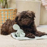 Bz Puppy Cuddle Cloth Wuggie Grn 31X31
