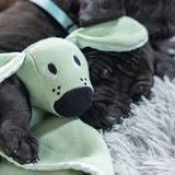 Bz Puppy Cuddle Cloth Wuggie Grn 31X31