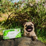 Earth Rated Plant Based Wipes - Lavender