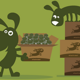 Earth Rated Dispenser - Lavender