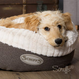 Scruffs Ellen Donut - Tan