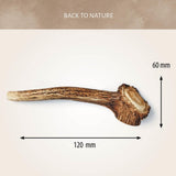 Antos Gourmore Antler Medium 76-150 gr