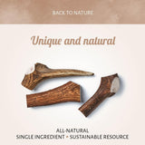 Antos Gourmore Antler Small 50-75 gr