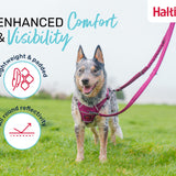 Halti Anatomy Multi Lead feature
