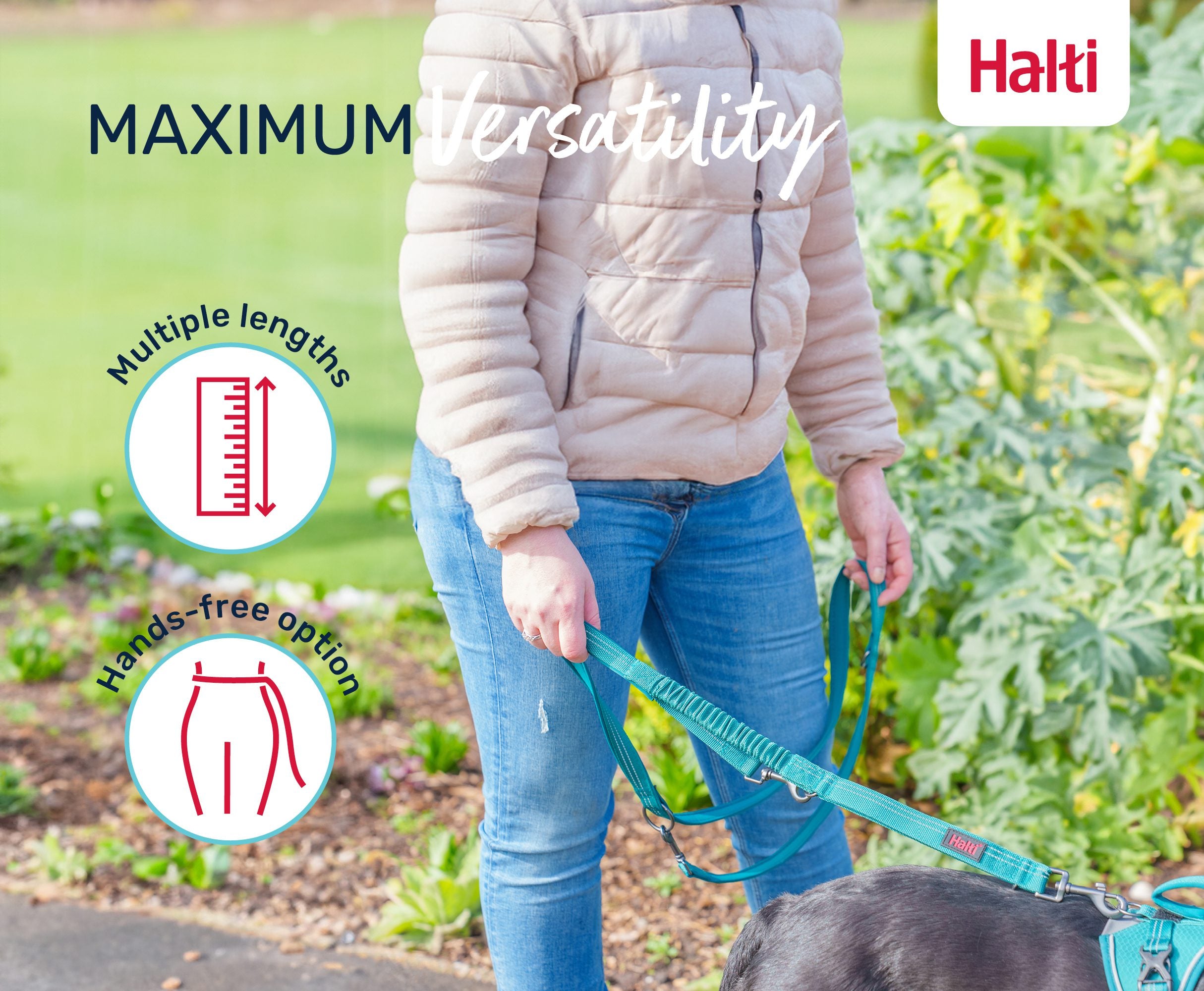 Halti Anatomy Multi Lead feature